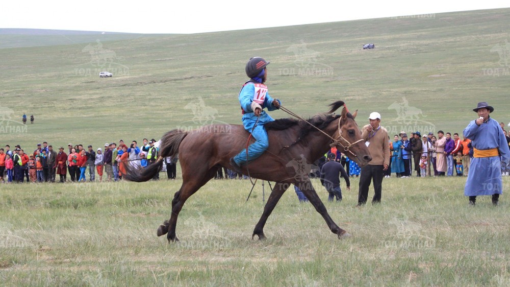Чавх хул