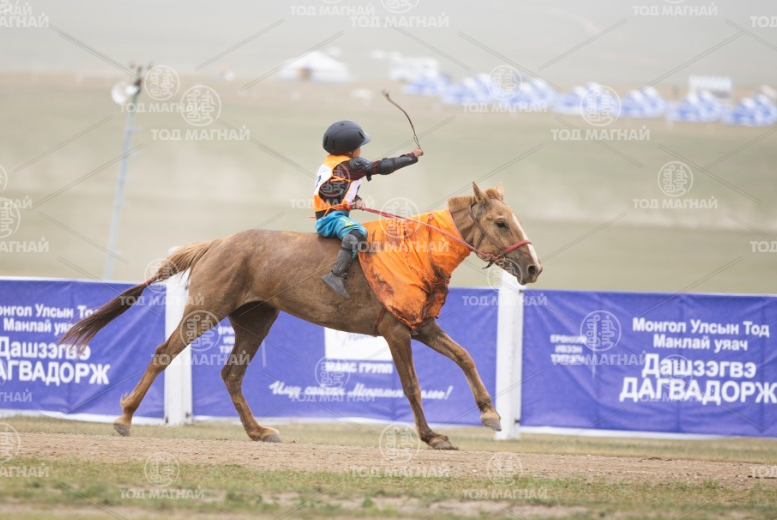  Хонгор халзан