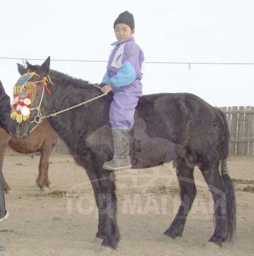 Төрбатын бага хар