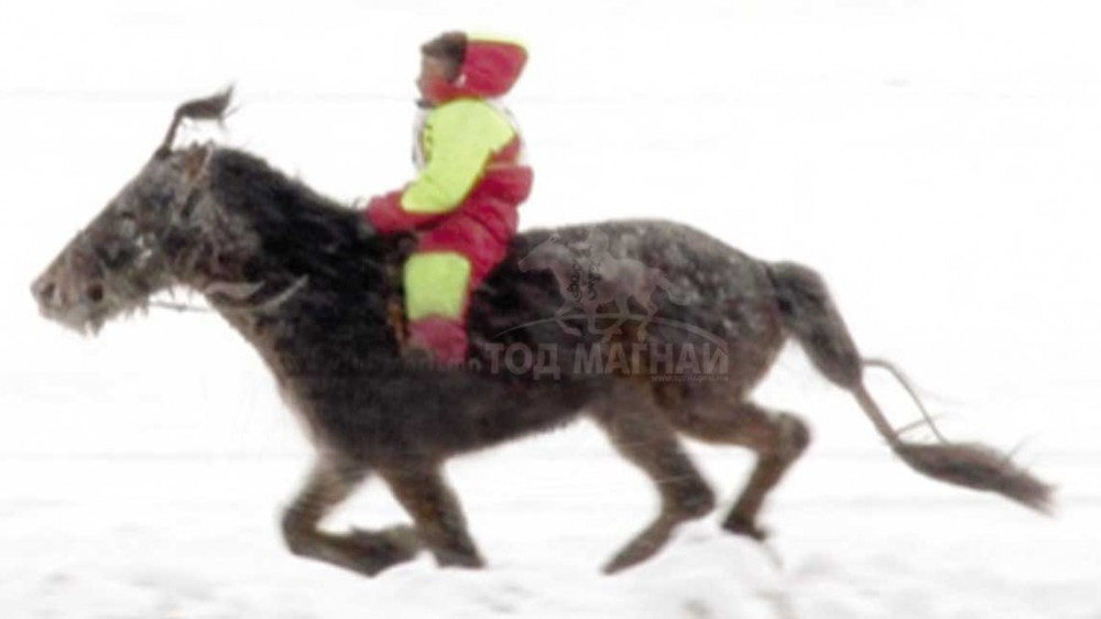 Ембүү хээр