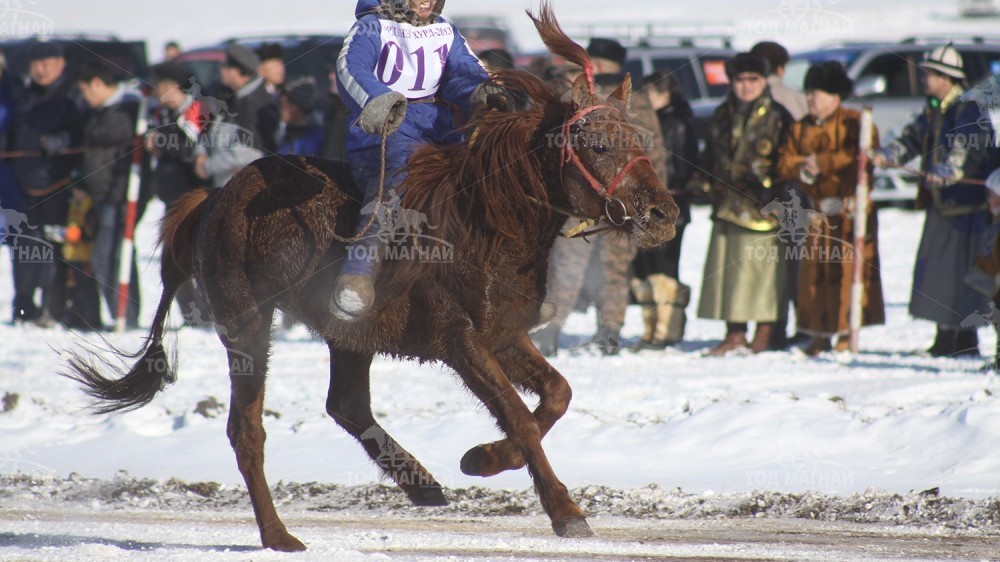 Сөнгө зээрд