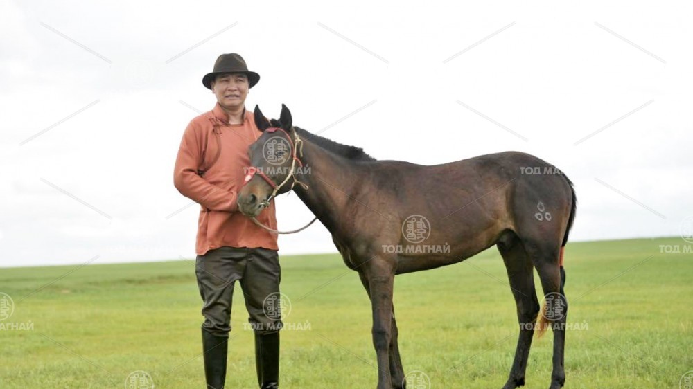 Халтар