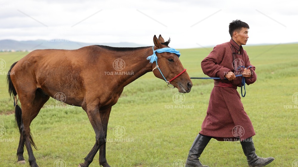 Хараацай хээр