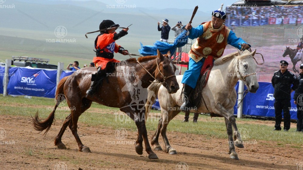  Энхбаатарын хонгор халзан