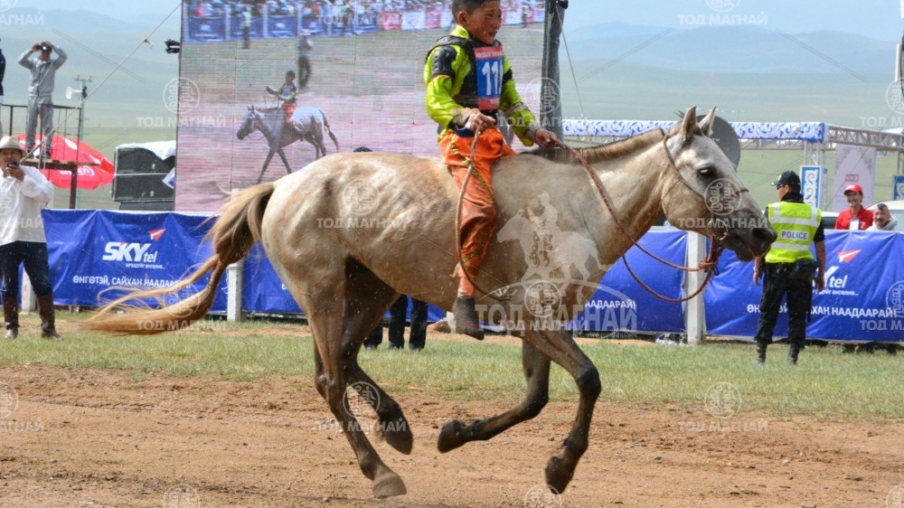  Пүрэвбаатарын загал