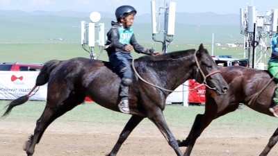 Эрлийз дээд