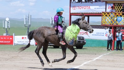 Эрлийз дээд