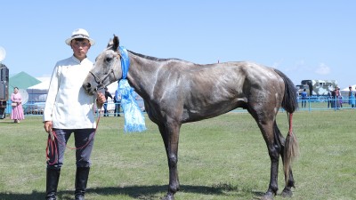 Эрлийз дээд