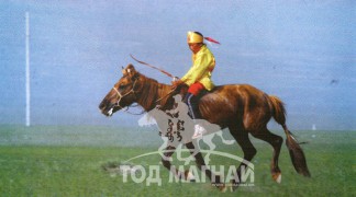 Азарганы айргийн гуравт Өвөрхангай аймгийн Хайрхандулаан сумын уугуул МУ-ын Алдарт уяач Б.Отгоннасангийн хонгор