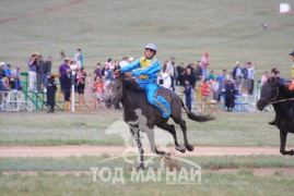 Өвөрхангай аймгийн Бүрд сумын уугуул Ч.Пэрэнлэйн бор