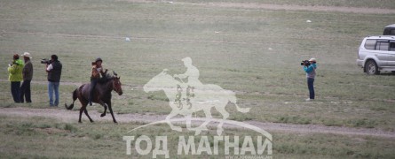 7. Говь-Алтай аймгийн Баян-Уул сумын уугуул Буяндалайн сартай хээр