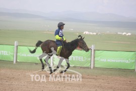 Дааганы аман хүзүү Говь-Алтай аймгийн Чандмань сумын уугуул Энхболдын халтар