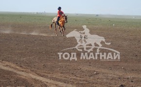 Аймгийн Алдарт уяач Х.Түмэнбаярын хонгор