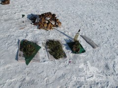 Уламжлалт харвааны өвлийн харваа шинийн 7-нд боллоо