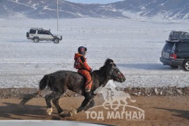 Айргийн тав – Хөвсгөл аймгийн Тосонцэнгэл сумын уяач Ч.Дашнямын Хар алаг Азарга