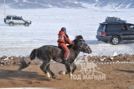 Айргийн тав – Хөвсгөл аймгийн Тосонцэнгэл сумын уяач Ч.Дашнямын Хар алаг азарга