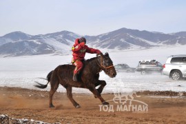 Айргийн гурав – Хөвсгөл аймгийн Мөрөн сумын уяач Т.Болдбаатарын Хээр морь