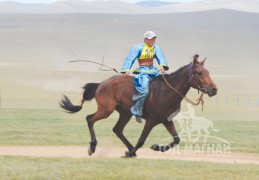 Аман хүзүүнд хурдалсан М.Энхболдын хээр