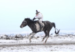 Эрлийз ангилалд айргийн дөрөвт хурдалсан Сэлэнгэ аймгийн Хушаат сумын уугуул Цэвээнжавын хээр алаг