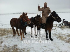 Айргийн гуравт хурдалсан Баян-Уул сумын уяач Ю.Батсайханы шар хээр морь