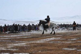 “Дүнжингаравын хурд-2012” уралдаанд түрүүлж айрагдсан их насны морьдын дэлгэрэнгүй танилцуулга