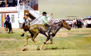 1. Хөвсгөл аймгийн Их-Уул сумын уугуул, ЗТАЖЯ-ны төрийн нарийн бичгийн дарга Ц.Бат-Энхийн сартай хүрэн морь.