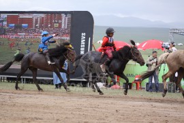 зургаад Мягмарсамбуугийн Батсамбуугийн халтар