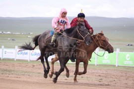 аман хүзүүнд хурдалсан Бат-Очирын Батсүхийн саарал