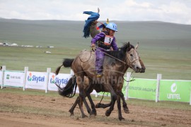 айргийн дөрөвт Тод манлай уяач Хадбаасангийн Бат-Эрдэнийн бор халиун