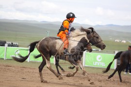 9-д Лантуугийн Алтанхуягийн халиун алаг
