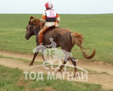 Улс халзан уралдааны замд. Унаач Т.Баярхүү