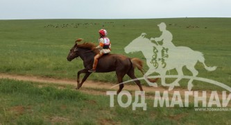 Улс халзан уралдааны замд. Унаач Т.Баярхүү