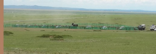 Их насны морьд гарааны зурхайгаас эргэх гэж буй нь