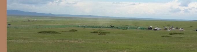 Их насны морьд гарааны зурхайгаас эргэх гэж буй нь
