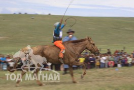 Б.Баатарцэрэнгийн хонгор барианд орж буй нь