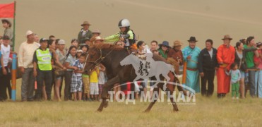 Архангай аймгийн Өгийнуур сумын уугуул Соёл-Эрдэнийн хүрэн