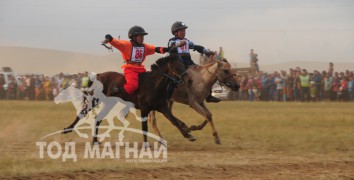 аймгийн Алдарт уяач Д.Ганхуягийн хүрэн,Батцогтын буурал дааганууд барианд орж байгаа нь