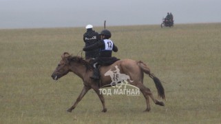 Азарганы тав Л.Энх-Амгалангийн хонгор