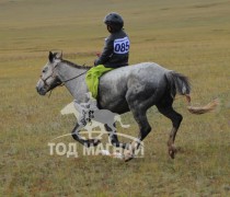 Их морины айргийн тав Бүрэнтогтохын борлог