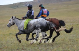Их морины айргийн тав Бүрэнтогтохын борлог