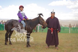 Д.Амгаланбаатарын хээр
