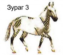 Сэргээх иллэг