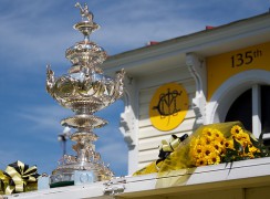 Woodlawn vase цом