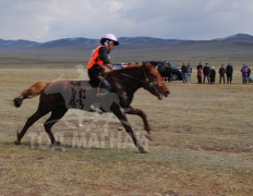Х.Шижирбаатарын хүрэн