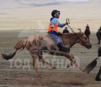 Сумын Алдарт уяач Я.Сүхбаатарын хонгор