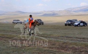 Сумын Алдарт уяач Г.Гантулгын хул