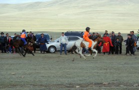 Аймгийн Алдарт уяач В.Наранхүүгийн хонгор
