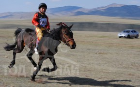 Аймгийн Алдарт уяач Н.Зоригоогийн хээр