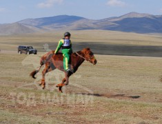 Ариунтөгсийн ухаа