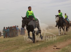 Т.Галбадрахын ногоон